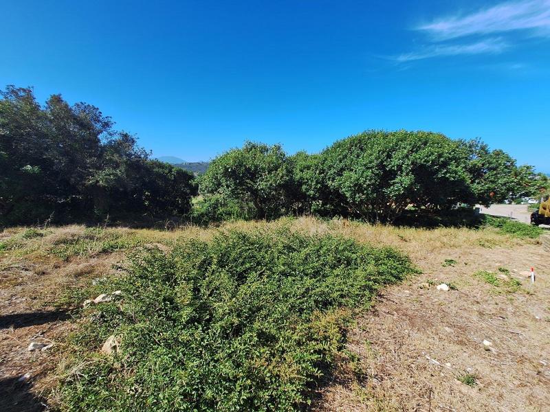 0 Bedroom Property for Sale in Bergsig Western Cape